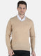 Men Beige Solid Pullover