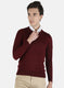 Men Maroon Solid Pullover
