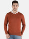 Men Orange Solid Pullover