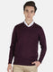 Men Purple Solid Pullover