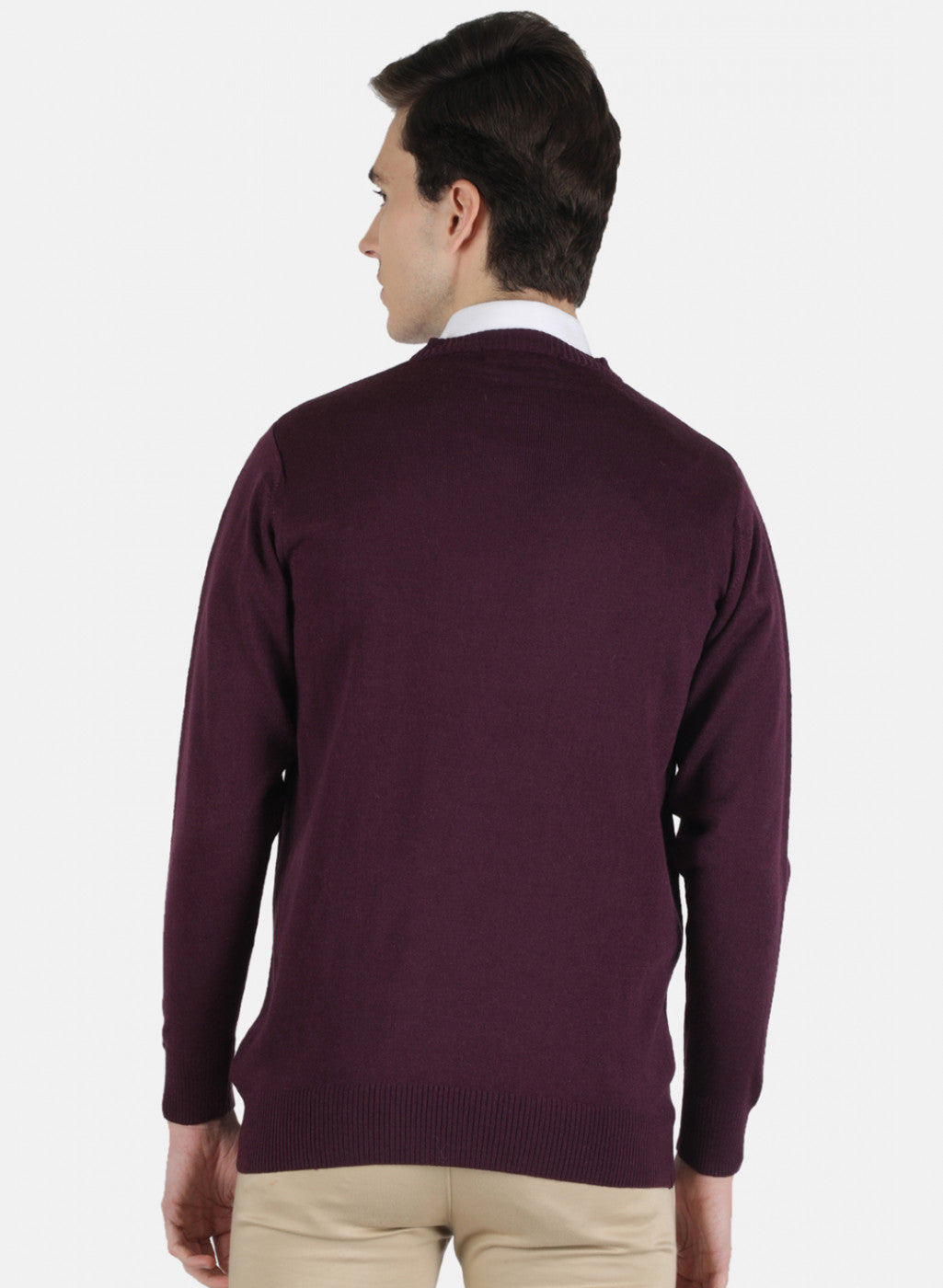 Men Purple Solid Pullover