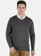 Men Grey Solid Pullover