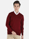 Men Maroon Solid Pullover