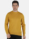 Men Yellow Solid Pullover