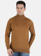 Men Brown Solid Pullover