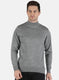 Men Grey Solid Pullover