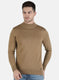 Men Brown Solid Pullover