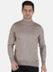 Men Beige Solid Pullover