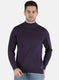 Men Purple Solid Pullover