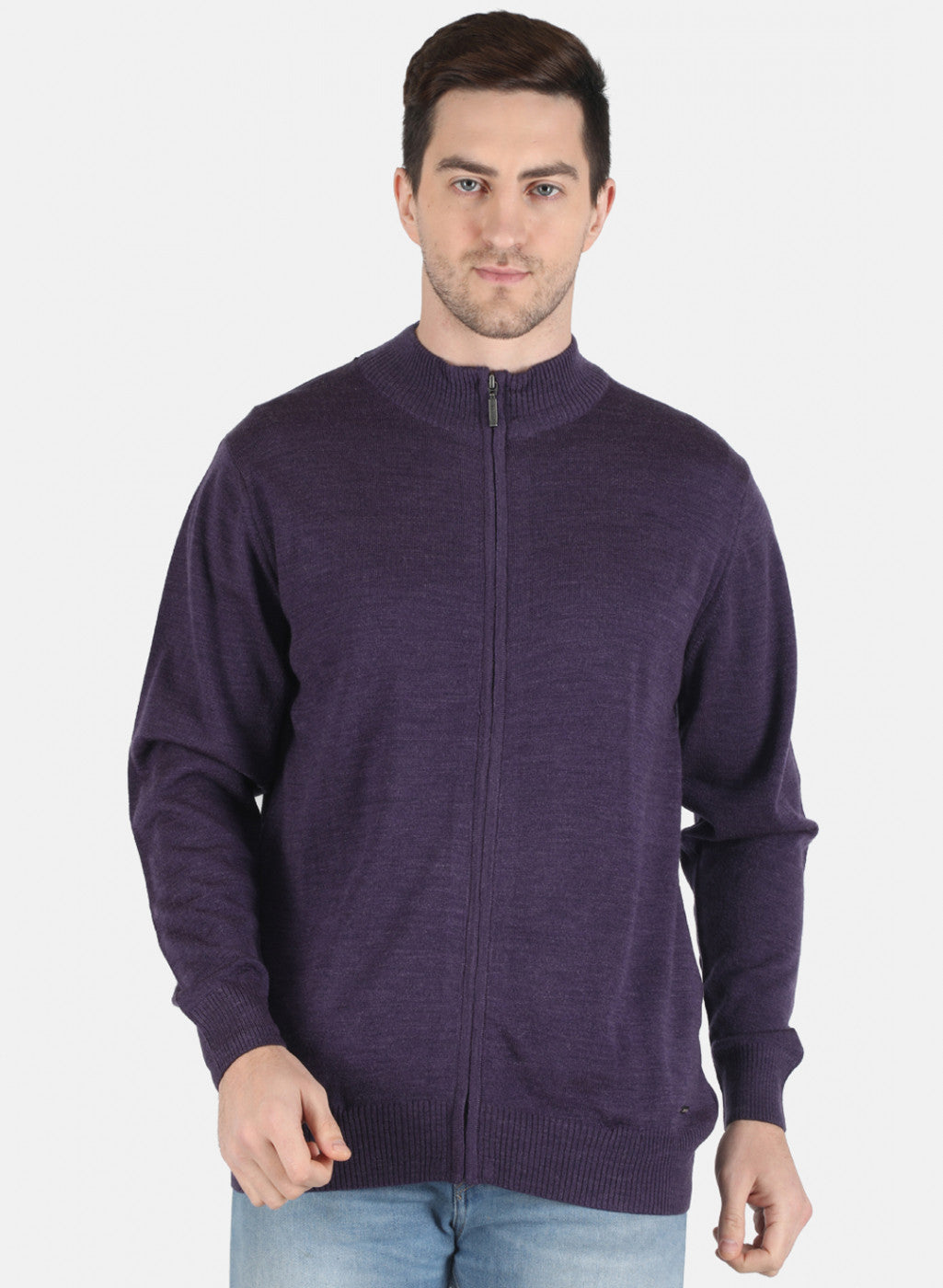 Men Purple Solid Pullover