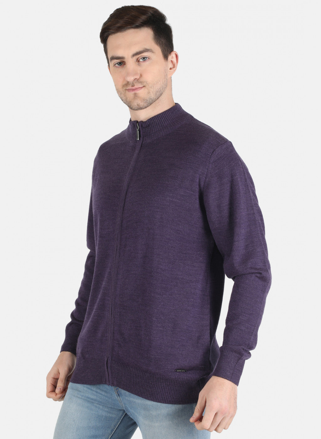 Men Purple Solid Pullover