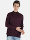 Men Purple Solid Pullover