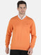 Men Orange Solid Pullover