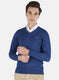 Men Blue Solid Pullover
