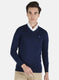 Men Blue Solid Pullover