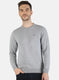 Men Grey Solid Pullover