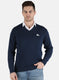 Men Blue Solid Pullover