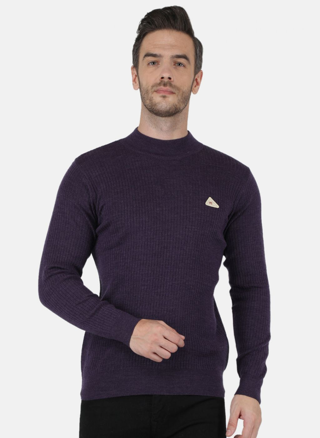 Men Purple Solid Pullover