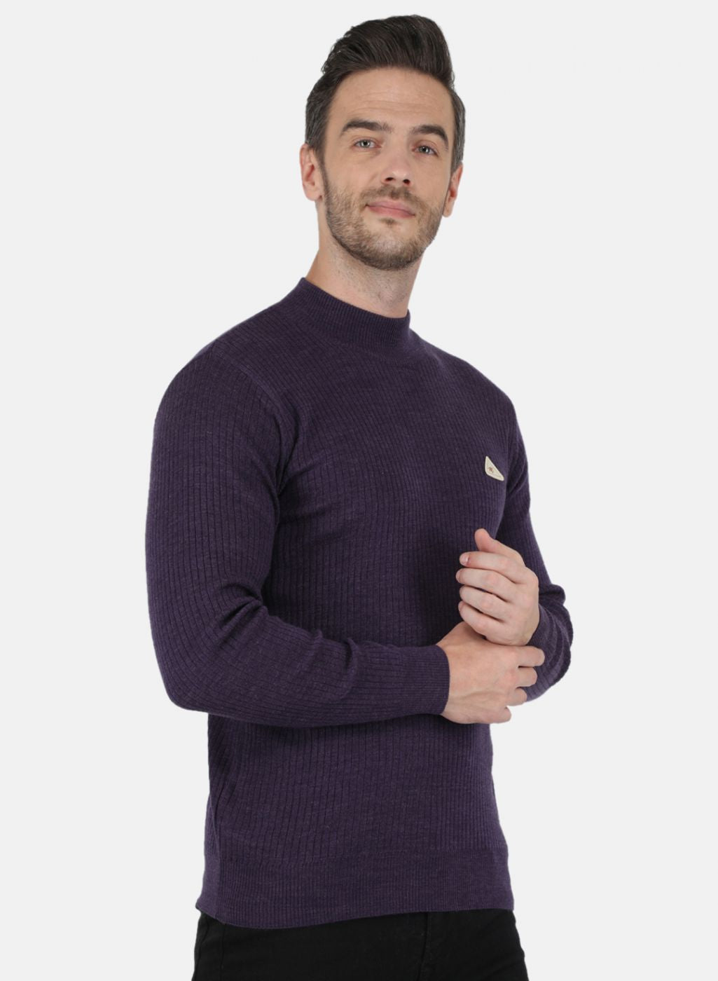 Men Purple Solid Pullover
