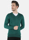 Men Green Solid Pullover