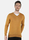 Men Gold Solid Pullover