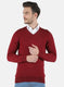 Men Maroon Solid Pullover