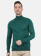 Men Green Solid Pullover