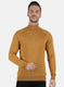 Men Gold Solid Pullover