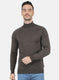 Men Brown Solid Pullover