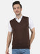 Men Brown Solid Sweater