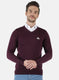 Men Purple Solid Pullover