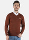 Men Brown Solid Pullover
