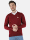 Men Maroon Solid Pullover