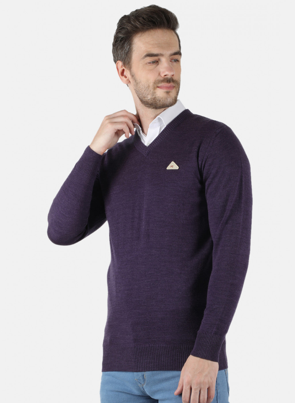 Men Purple Solid Pullover