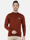 Men Brown Solid Pullover