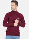Men Purple Solid Pullover