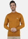 Men Yellow Solid Pullover