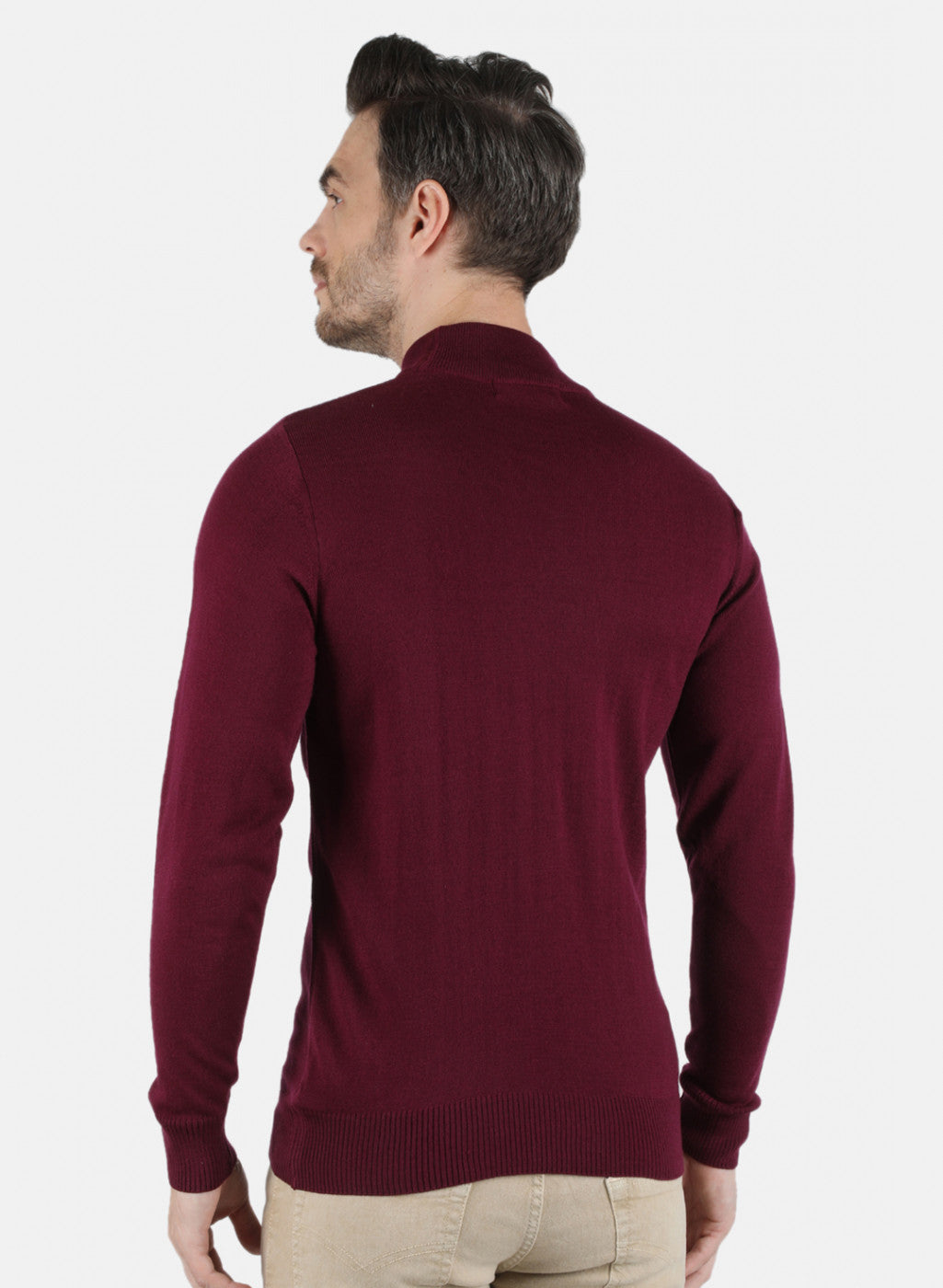 Men Purple Solid Pullover