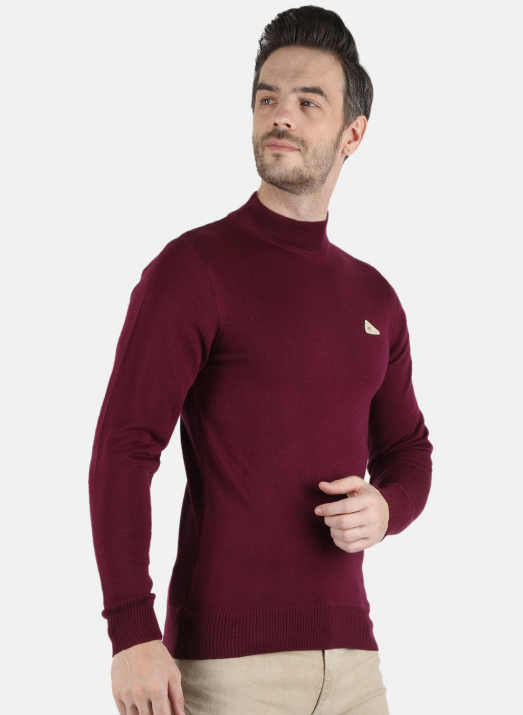 Men Purple Solid Pullover