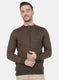 Men Brown Solid Pullover