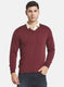 Men Brown Solid Sweater