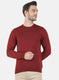 Men Brown Solid Sweater