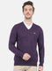 Men Purple Self Design Pullover