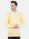 Men Beige Self Design Pullover