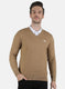 Men Beige Self Design Pullover
