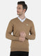 Men Beige Self Design Pullover