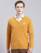 Men Mustard Solid V Neck Full Sleeve Sweater