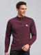 Men Purple Solid Wool blend Pullover