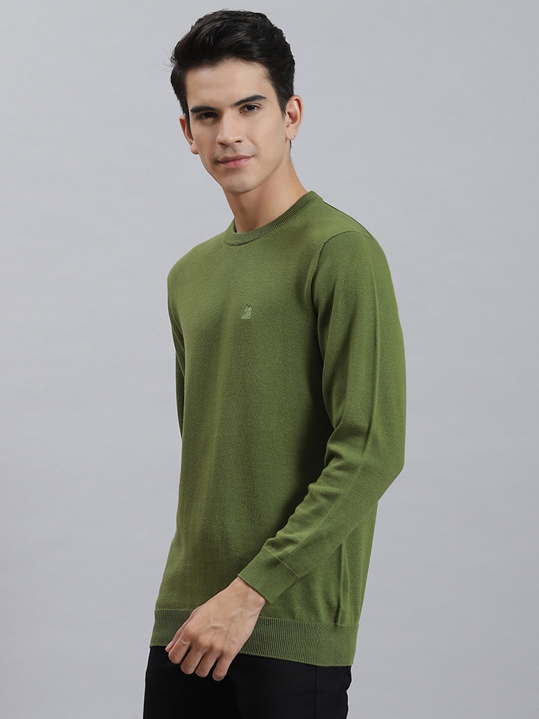 Men Olive Solid Round Neck Full Sleeve Sweaters/Pullovers