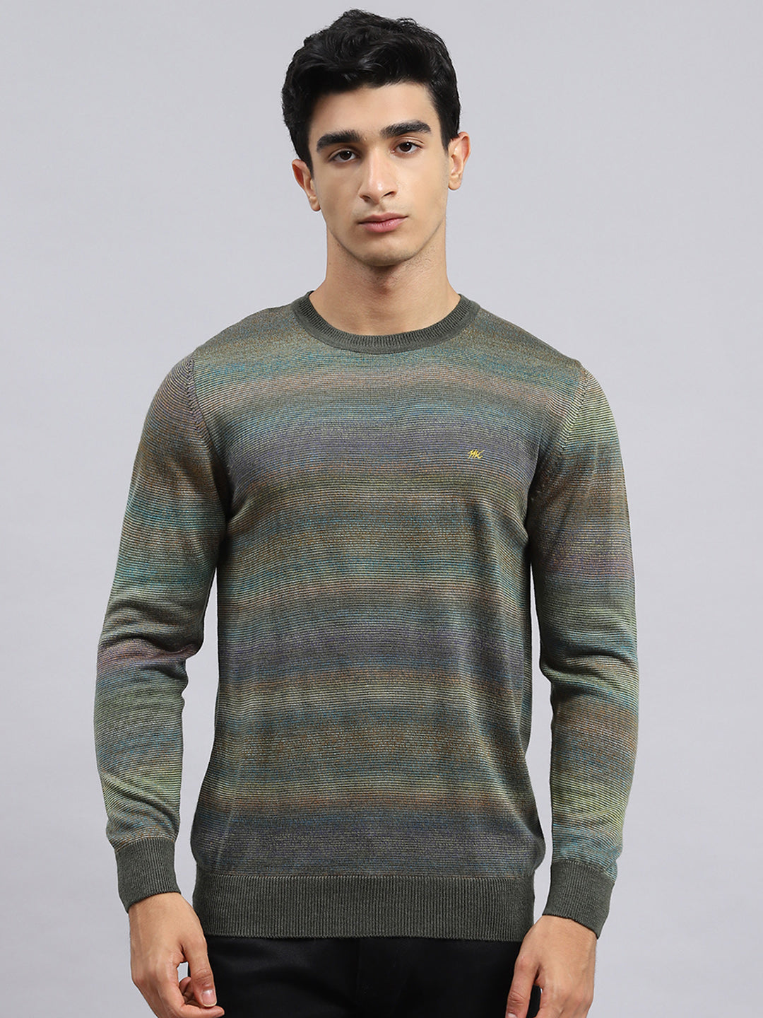 Men Green Self Pullover